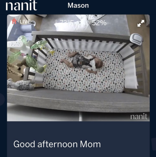 Nanit Review